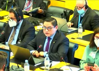 Guatemala da a conocer avances ambientales ante la ONU