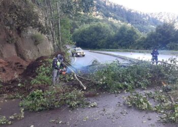 Reconocen trabajos efectuados en atención de incidentes en carreteras