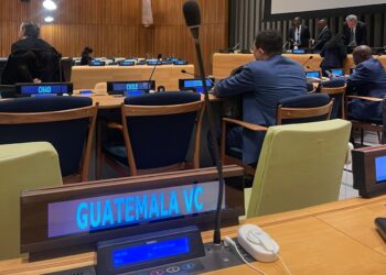 Guatemala participa en diálogo del Comité de Derechos Económicos, Sociales y Culturales de la ONU