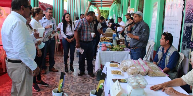Efectúan la Feria de la Agricultura Familiar llega, en El Progreso