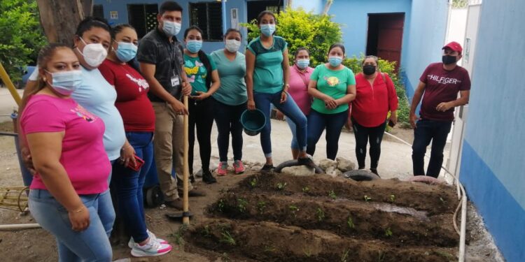 Huertos escolares con fines pedagógicos