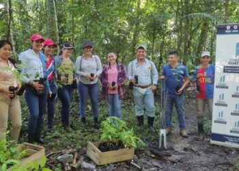 Jornada de reforestación en Petén. /Foto: MARN