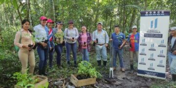 Jornada de reforestación en Petén. /Foto: MARN