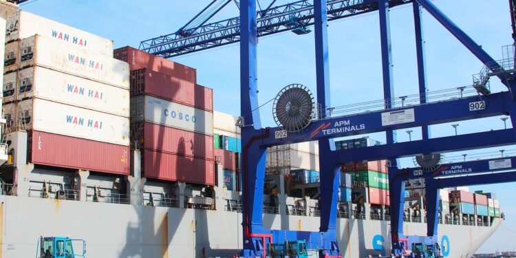 Reportan adjudicación de 402 mil toneladas métricas bajo contingentes arancelarios