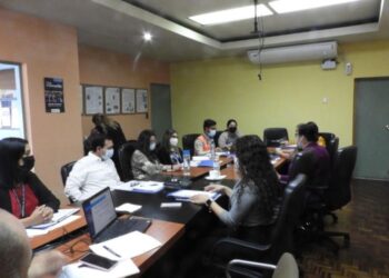 Formulan Política Pública de Salud Mental