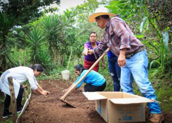 Estipendio es parte del plan de conservación de suelos. /Foto: Maga