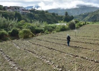 Científico destaca a los agricultores como solución al cambio climático