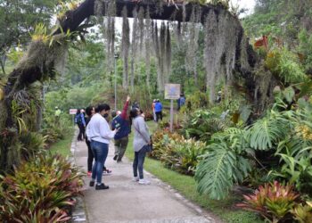 Desarrollarán IV Congreso Ambiental Municipal