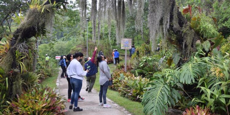 Desarrollarán IV Congreso Ambiental Municipal