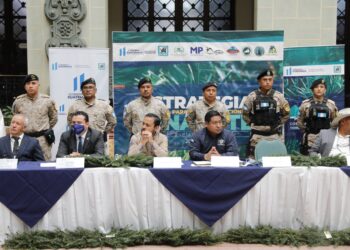 Anuncian operativos para prevenir el tráfico de pinabete