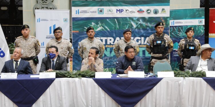 Anuncian operativos para prevenir el tráfico de pinabete