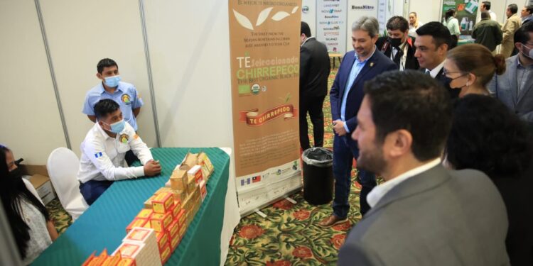 Resaltan producción orgánica en Guatemala