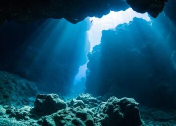 Descubren que bacterias marinas hunden el carbono en fondos oceánicos