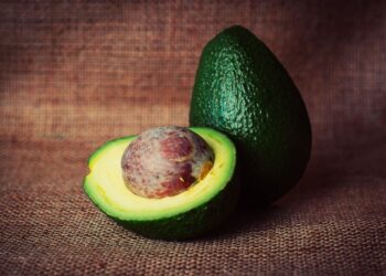 Da inicio la segunda edición del Congreso Nacional de Aguacate