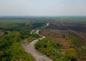 Conformarán mesa técnica de cuenca del río Madre Vieja