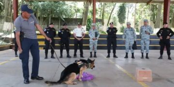 Guatemala y México intercambian conocimientos en la formación de guías e instructores K-9