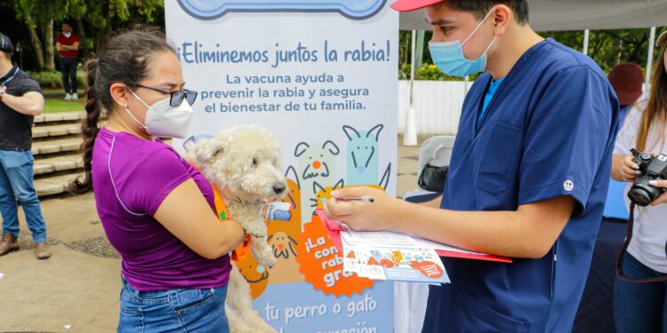 Este día continúan las jornadas de vacunación para mascotas