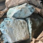Operativo de control permite localizar piedras de jade en un autobús