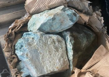 Operativo de control permite localizar piedras de jade en un autobús