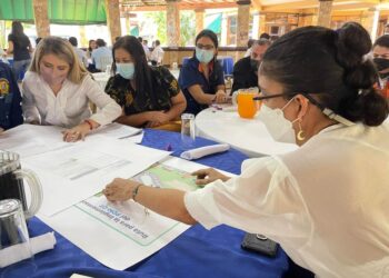 Verifican implementación de planes de desarrollo municipal