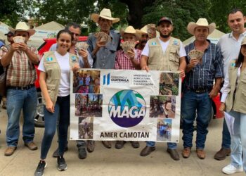 Seguro agrícola beneficia a pequeños productores chiquimultecos