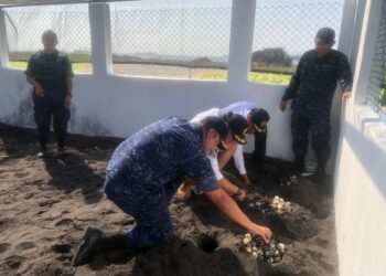 Inauguran tortugario en Puerto Quetzal, Escuintla
