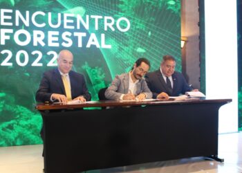 Fomentan buenas prácticas para el desarrollo forestal sostenible