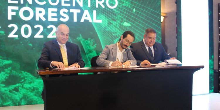 Fomentan buenas prácticas para el desarrollo forestal sostenible