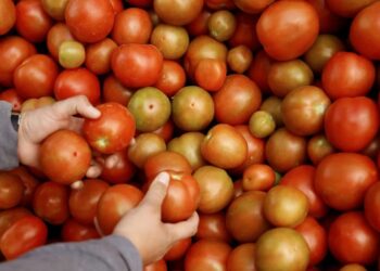 Agricultura de América expone sus logros en mitigación del cambio climático