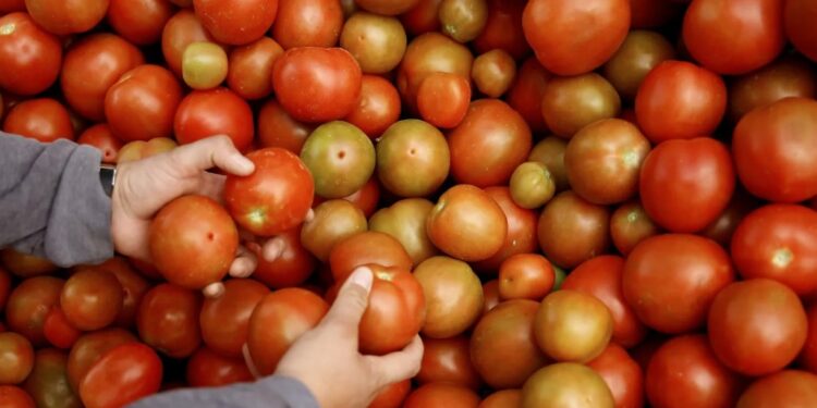 Agricultura de América expone sus logros en mitigación del cambio climático