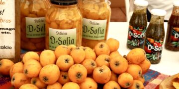 San Juan del Obispo celebra tradicional Festival del Níspero