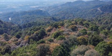 Mantienen acciones para conservar la biodiversidad en la cordillera Alux