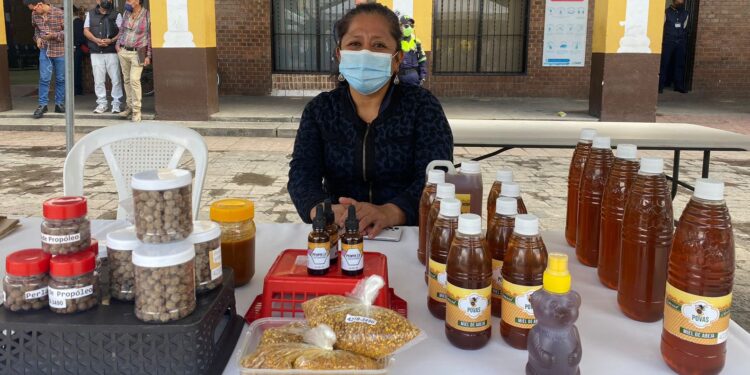 Acciones a favor del emprendimiento y acceso al empleo dan resultados en Huehuetenango