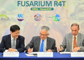 Buscan prevenir hongo en plantaciones de banano