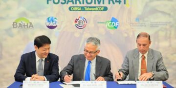 Buscan prevenir hongo en plantaciones de banano