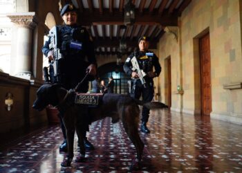 Fortalecen lucha contra el narcotráfico con apoyo de binomios K-9