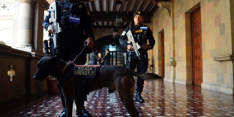 Fortalecen lucha contra el narcotráfico con apoyo de binomios K-9
