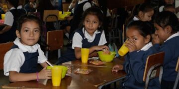 La validación de los alimentos lo hacen los estudiantes de preprimaria y primaria.