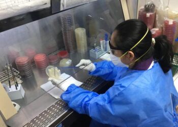 Salud informa sobre nuevo sublinaje de ómicron