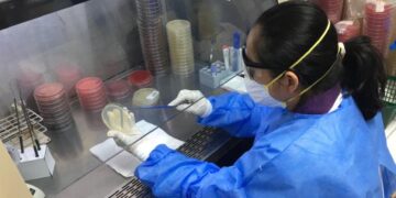 Salud informa sobre nuevo sublinaje de ómicron