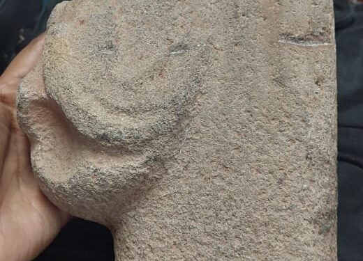 Las piezas fueron encontradas en el Aeropuerto Internacional la Aurora