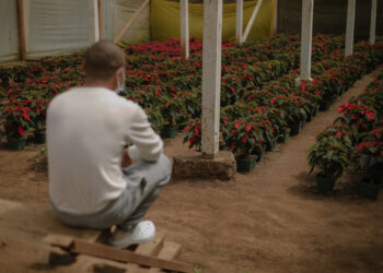 Jóvenes en proceso de reinserción. /Foto: SBS