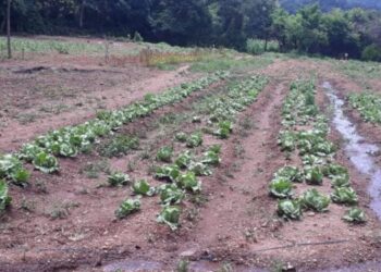 Zacapa fortalece su mesa técnica agroclimática departamental