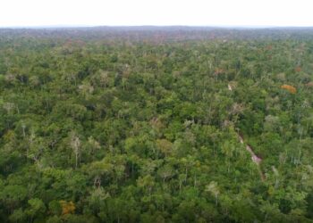 Petén refuerza acciones para proteger la biosfera maya contra incendios forestales