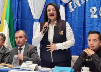 Mineduc busca implementar telebachilleratos