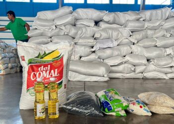 Entrega de alimentos beneficia a más de 4 mil familias jalapanecas