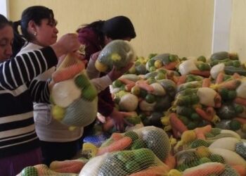 Más de 400 agricultores se convierten en proveedores del Programa de Alimentación Escolar en San Marcos