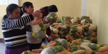 Más de 400 agricultores se convierten en proveedores del Programa de Alimentación Escolar en San Marcos
