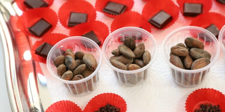 Efectúan el Salón del Cacao y Chocolate