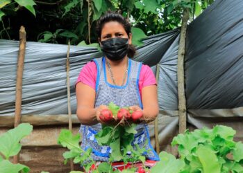 Agricultores familiares ofrecen productos frescos y sanos para los estudiantes. /Foto: MAGA